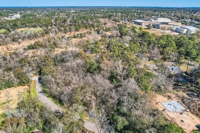 a view of a city with lush green forest