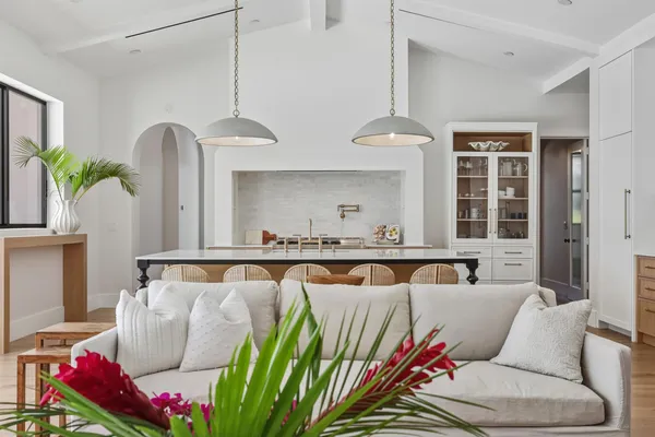 a living room with furniture and a potted plant