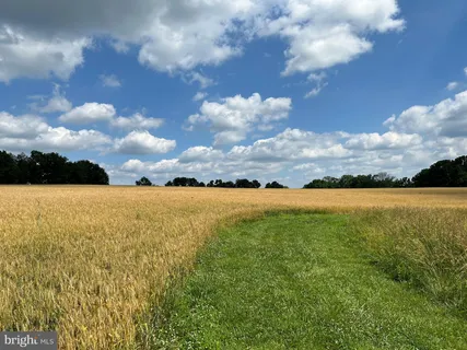 a view of a lake with a city