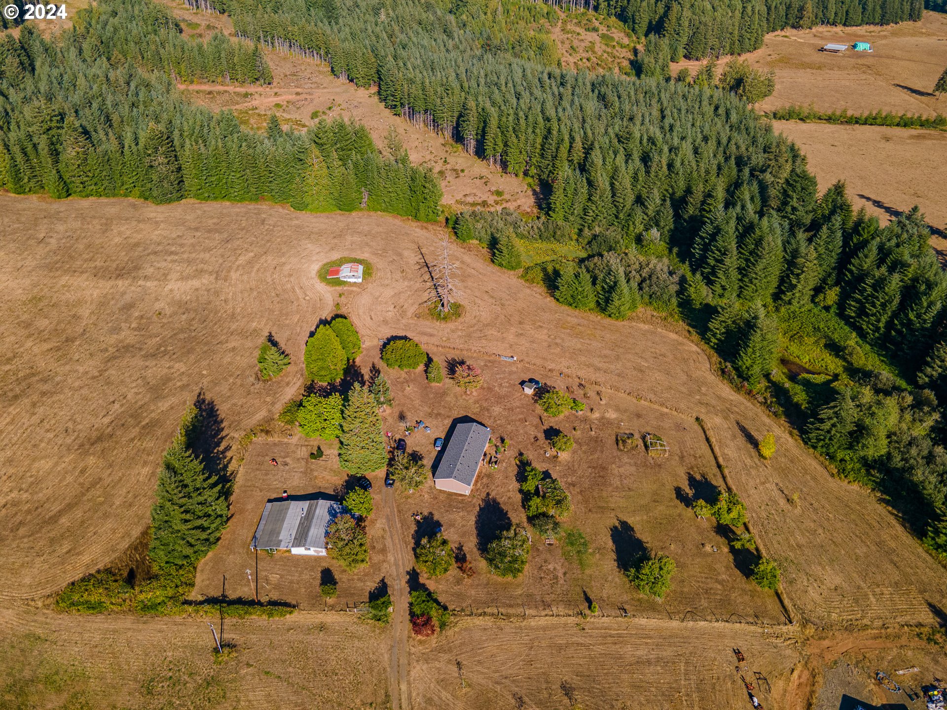 55691 Summerlin Road Myrtle Point, OR 97458 - Photo 4 of 45 Gallery Image 4
