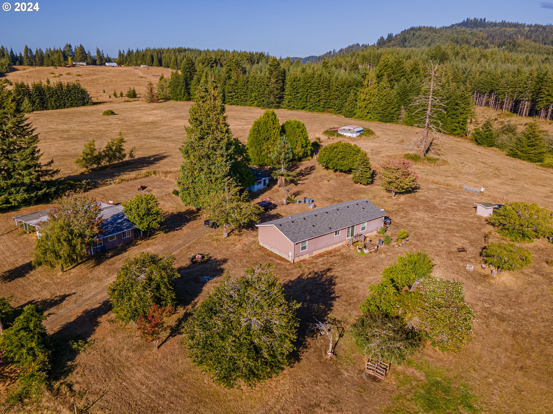 55691 Summerlin Road Myrtle Point, OR 97458 - Photo 9 of 45 Gallery Image 9