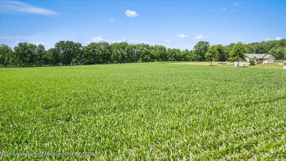 0 Flanders Road Charlotte, MI 48813 - Photo 10 of 12 10-Media Jett - 08