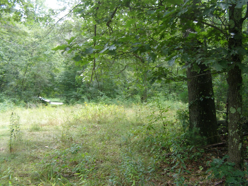 0 Stebbins Road Monson, MA 01057 - Photo 1 of 5 a view of a garden