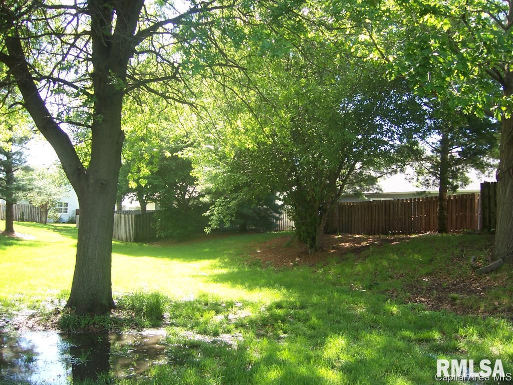 2010 Clara Mae Court Springfield, IL 62711 - Photo 15 of 21 Gallery Image 15
