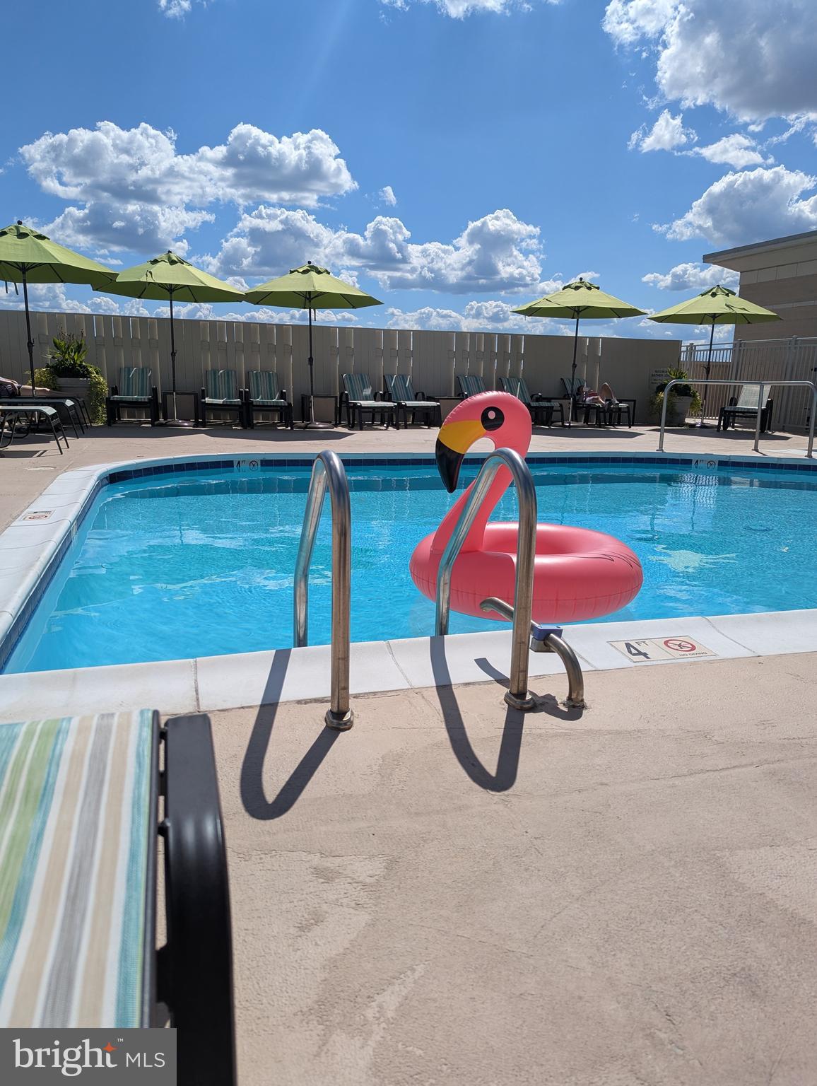 11800 Sunset Hills Road, Unit 815 Reston, VA 20190 - Photo 41 of 61 Rooftop pool!
