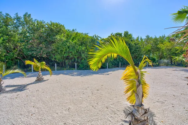 a view of a garden with a building in the background
