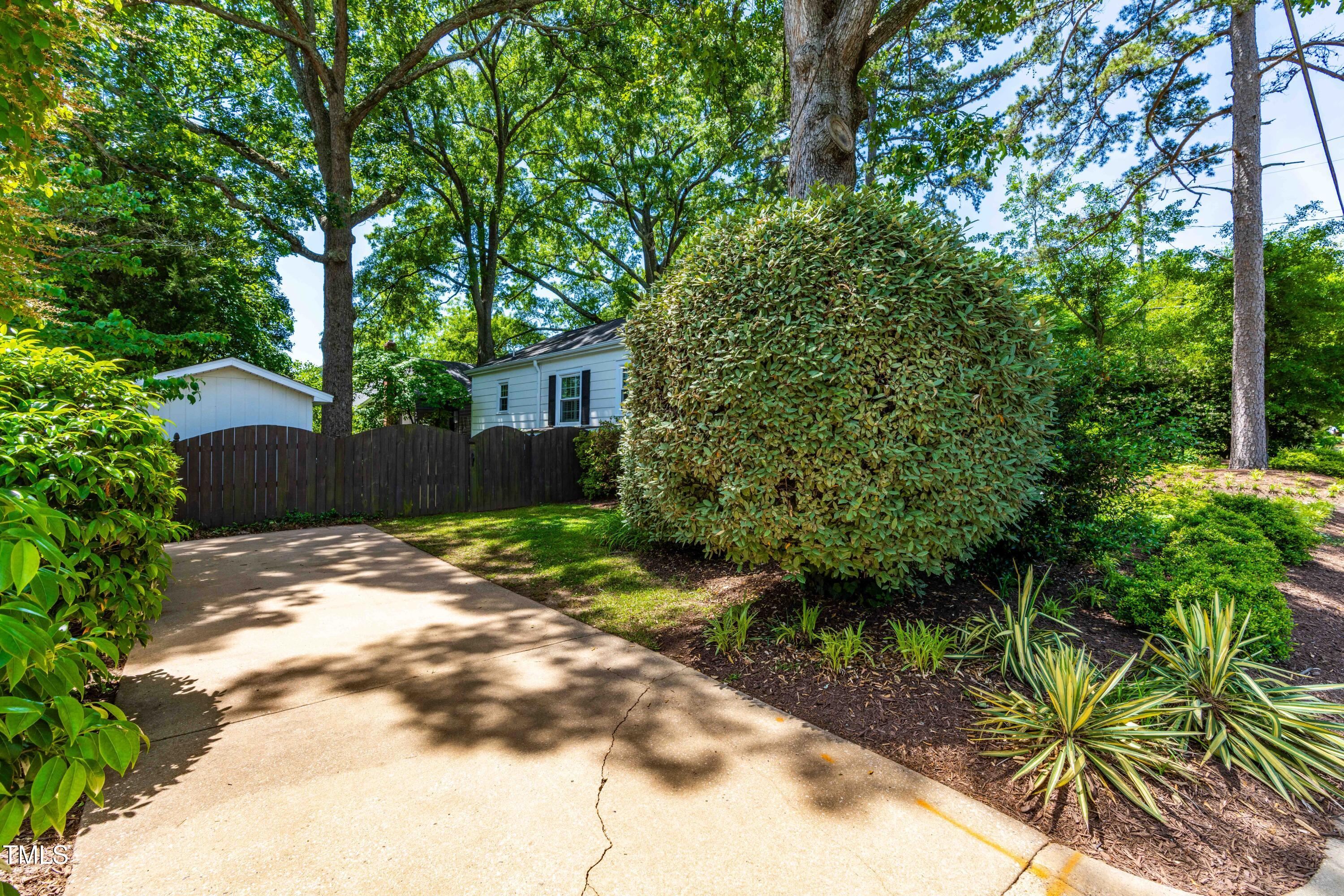 2725 Bedford Avenue Raleigh, NC 27607 - Photo 42 of 48 a view of a yard with plants and a large tree
