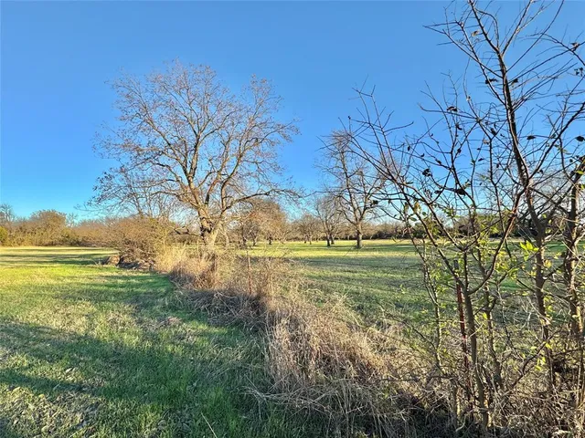 a view of yard with green space