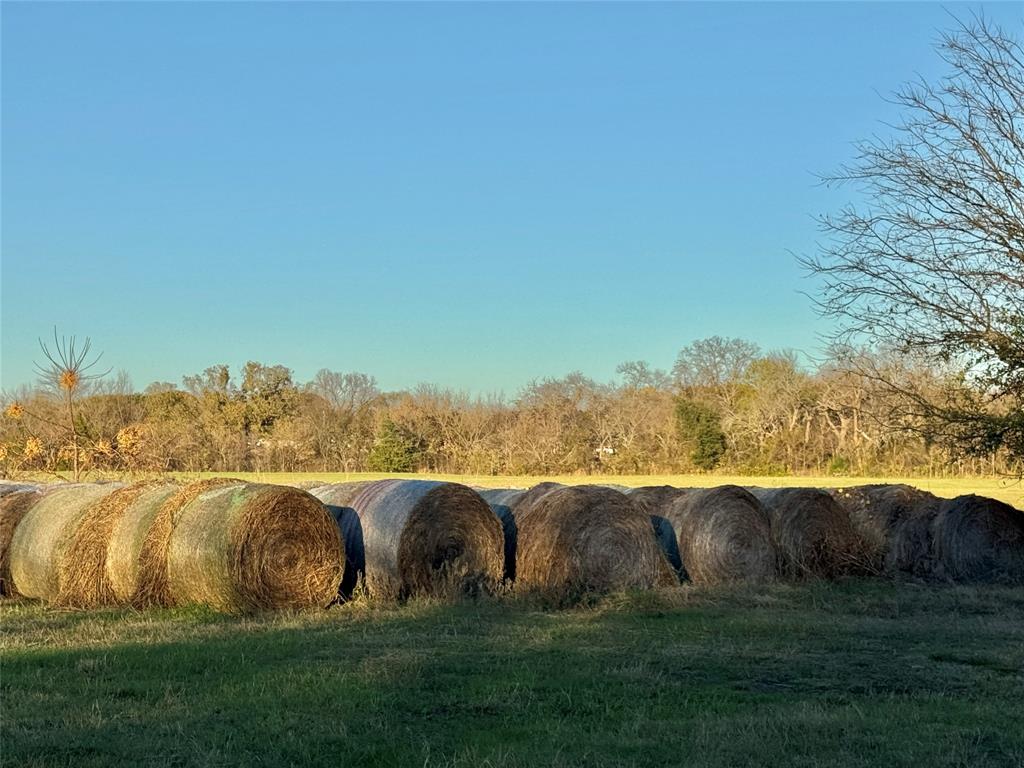 738 Cole Street Gainesville, TX 76240 - Photo 5 of 23 a view of an ocean with a yard