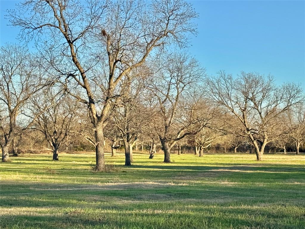 738 Cole Street Gainesville, TX 76240 - Photo 7 of 23 a park with lots of trees and lots of trees
