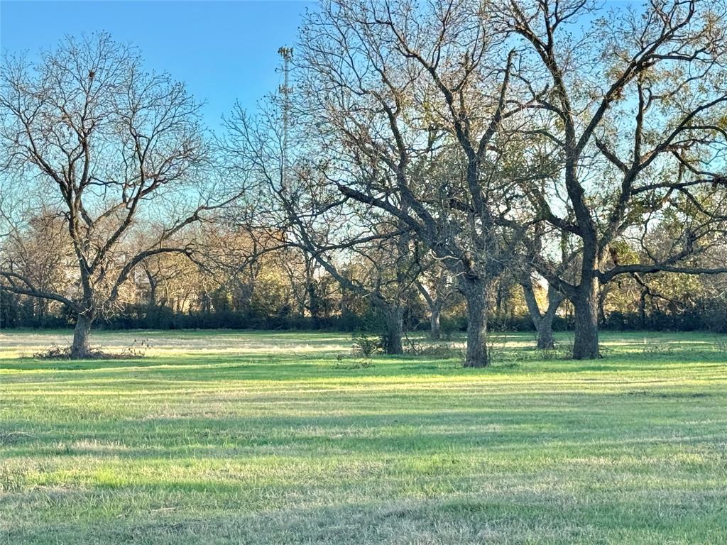 738 Cole Street Gainesville, TX 76240 - Photo 8 of 23 a view of a volley ball court