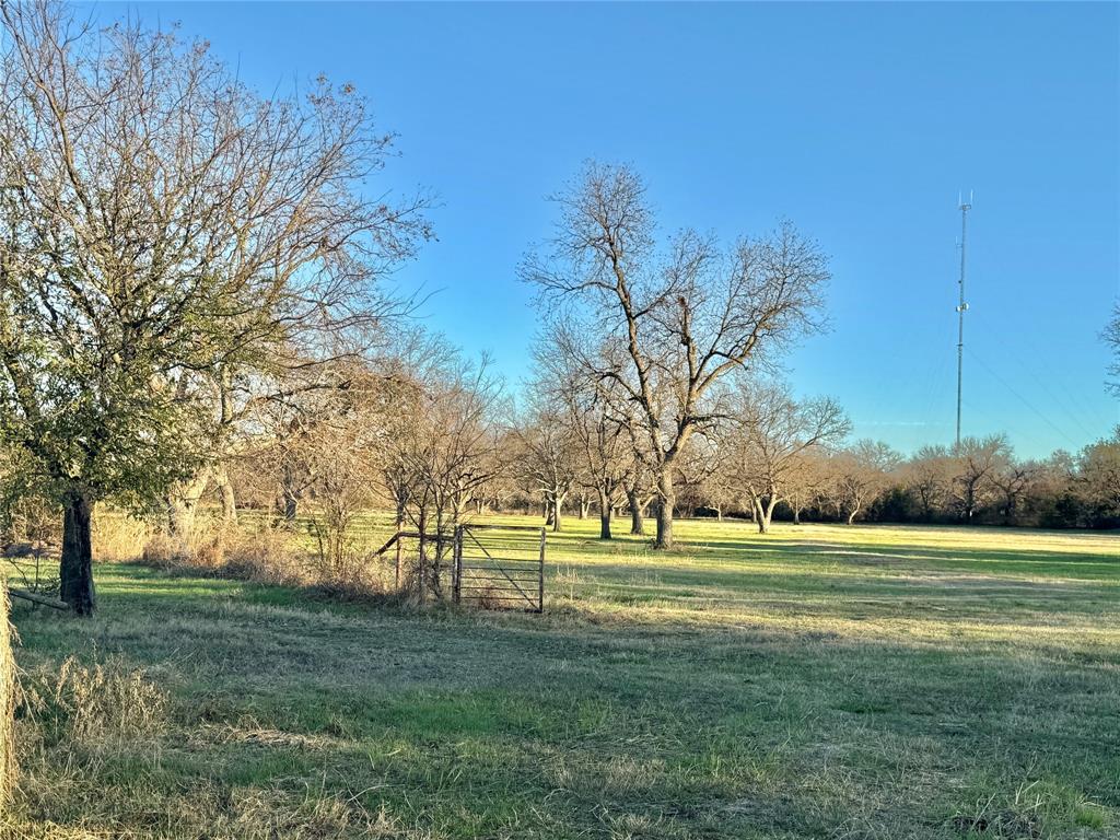 738 Cole Street Gainesville, TX 76240 - Photo 10 of 23 a view of a grassy field with trees