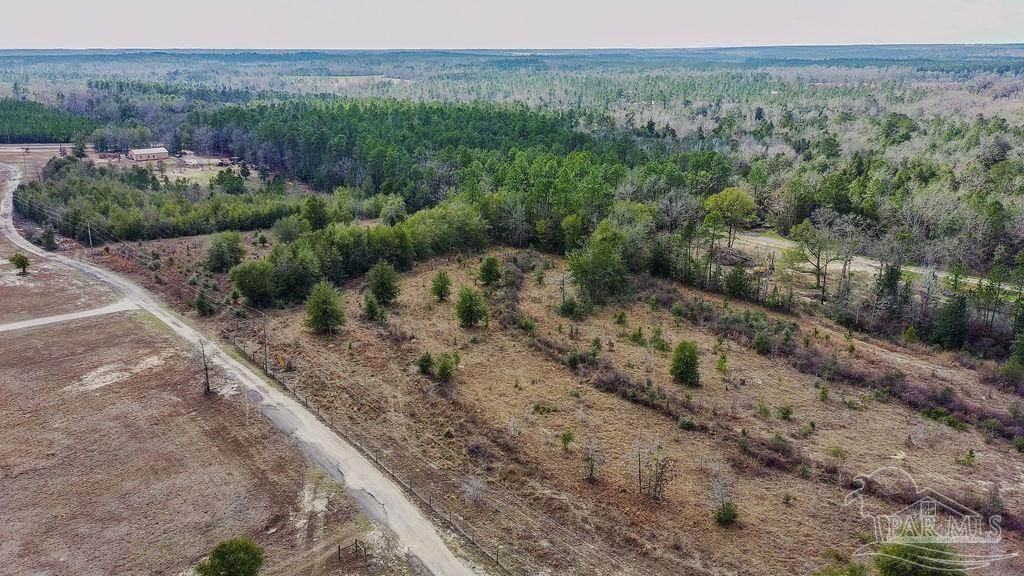 20-acres Tanner Ridge Road Milton, FL 32570 - Photo 11 of 25 a view of a dry yard with trees