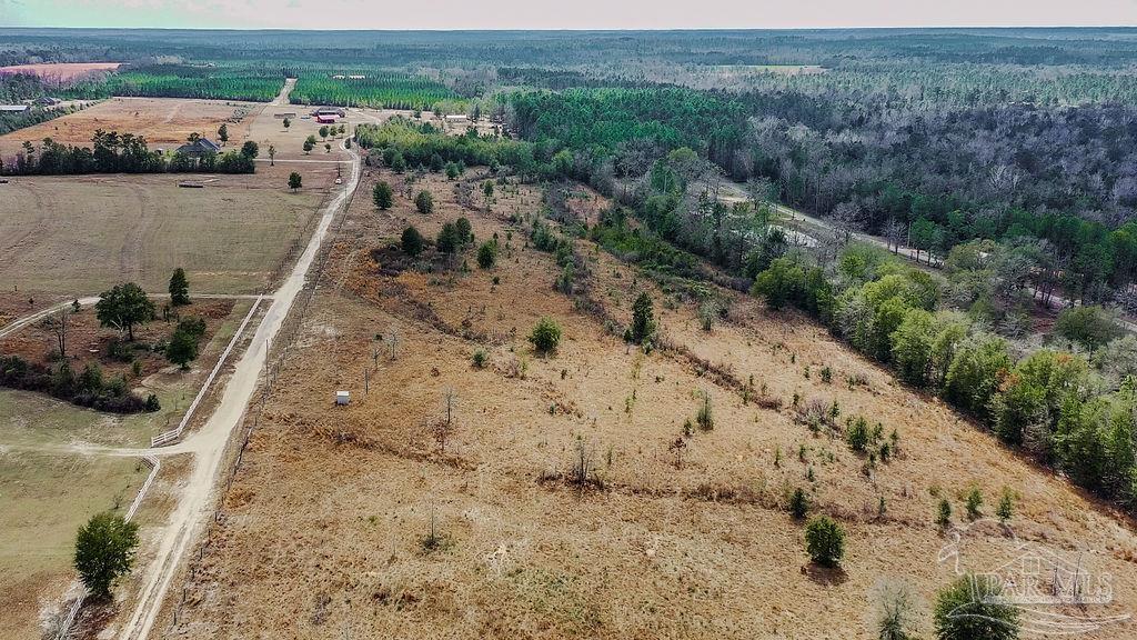 20-acres Tanner Ridge Road Milton, FL 32570 - Photo 13 of 25 an aerial view of a house with a yard