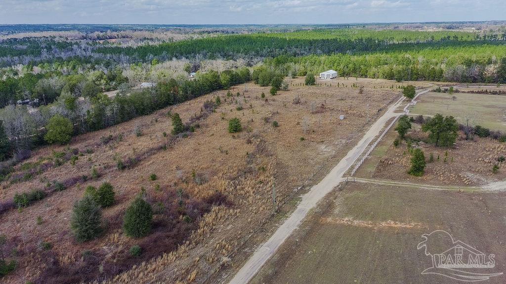 20-acres Tanner Ridge Road Milton, FL 32570 - Photo 15 of 25 a view of a lake with a mountain
