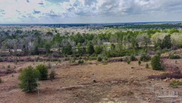 a view of a yard with an outdoor space