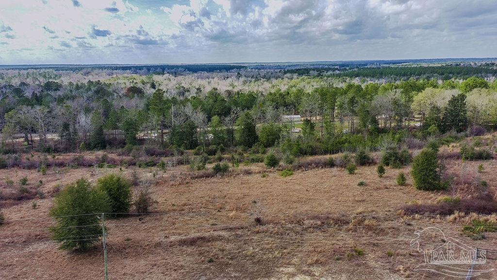 20-acres Tanner Ridge Road Milton, FL 32570 - Photo 16 of 25 a view of a yard with an outdoor space