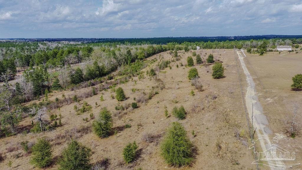 20-acres Tanner Ridge Road Milton, FL 32570 - Photo 17 of 25 a view of a lake with a mountain in the background