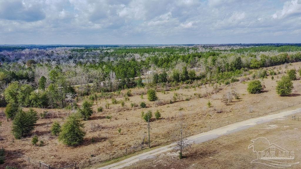 20-acres Tanner Ridge Road Milton, FL 32570 - Photo 18 of 25 a view of a backyard