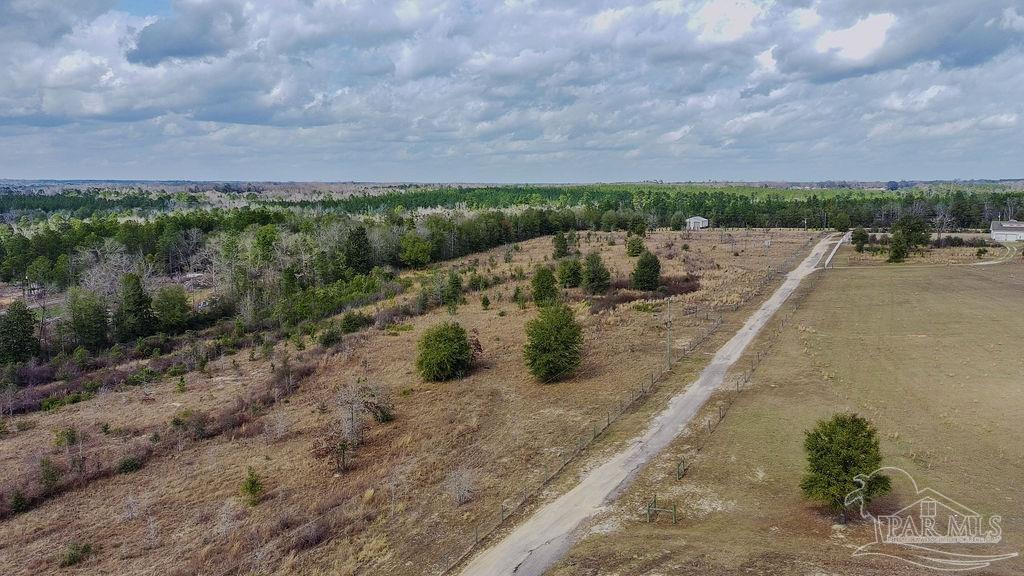 20-acres Tanner Ridge Road Milton, FL 32570 - Photo 19 of 25 a view of a road with a yard