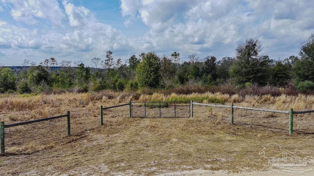 20-acres Tanner Ridge Road Milton, FL 32570 - Photo 20 of 25 a view of bench and trees in the background