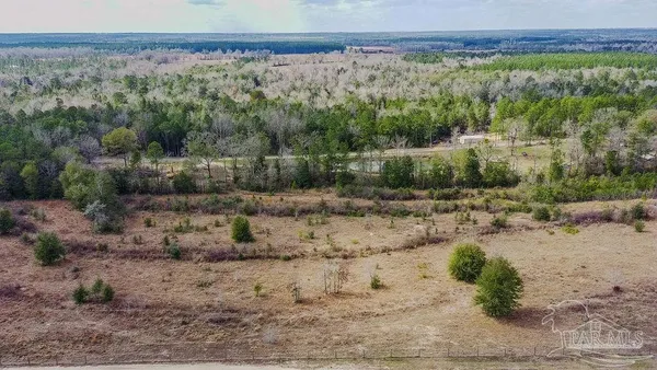 a view of a yard with an outdoor space