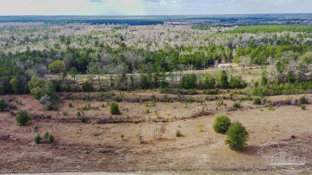 20-acres Tanner Ridge Road Milton, FL 32570 - Photo 21 of 25 a view of a yard with an outdoor space