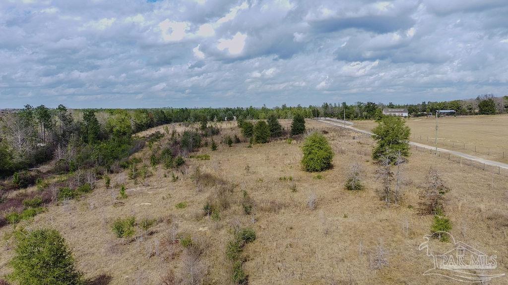 20-acres Tanner Ridge Road Milton, FL 32570 - Photo 24 of 25 a view of a lake with a beach
