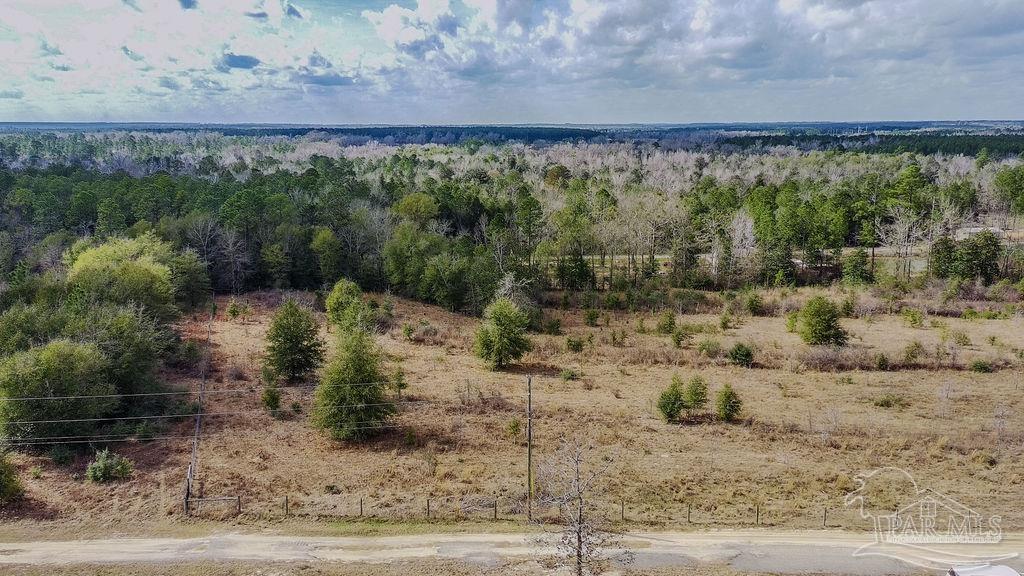 20-acres Tanner Ridge Road Milton, FL 32570 - Photo 4 of 25 a view of a dry yard with wooden fence