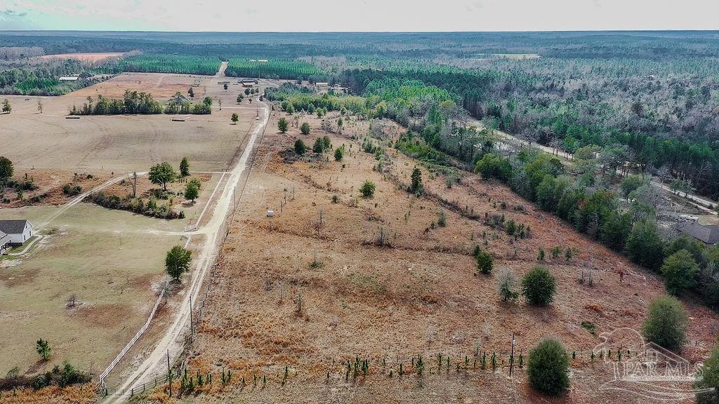 20-acres Tanner Ridge Road Milton, FL 32570 - Photo 6 of 25 a view of a backyard of a house