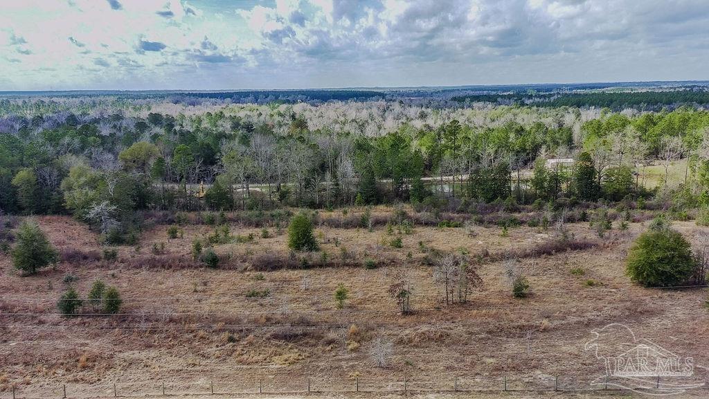 20-acres Tanner Ridge Road Milton, FL 32570 - Photo 7 of 25 a view of a yard with an outdoor and trees