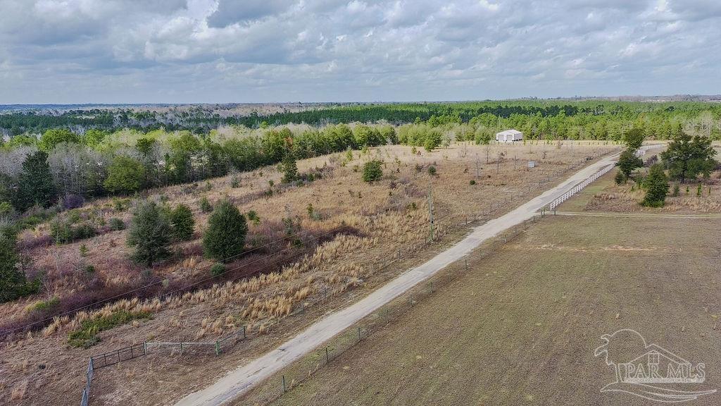 20-acres Tanner Ridge Road Milton, FL 32570 - Photo 8 of 25 a view of a big yard with an outdoor space