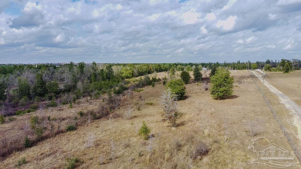20-acres Tanner Ridge Road Milton, FL 32570 - Photo 9 of 25 a view of a lake