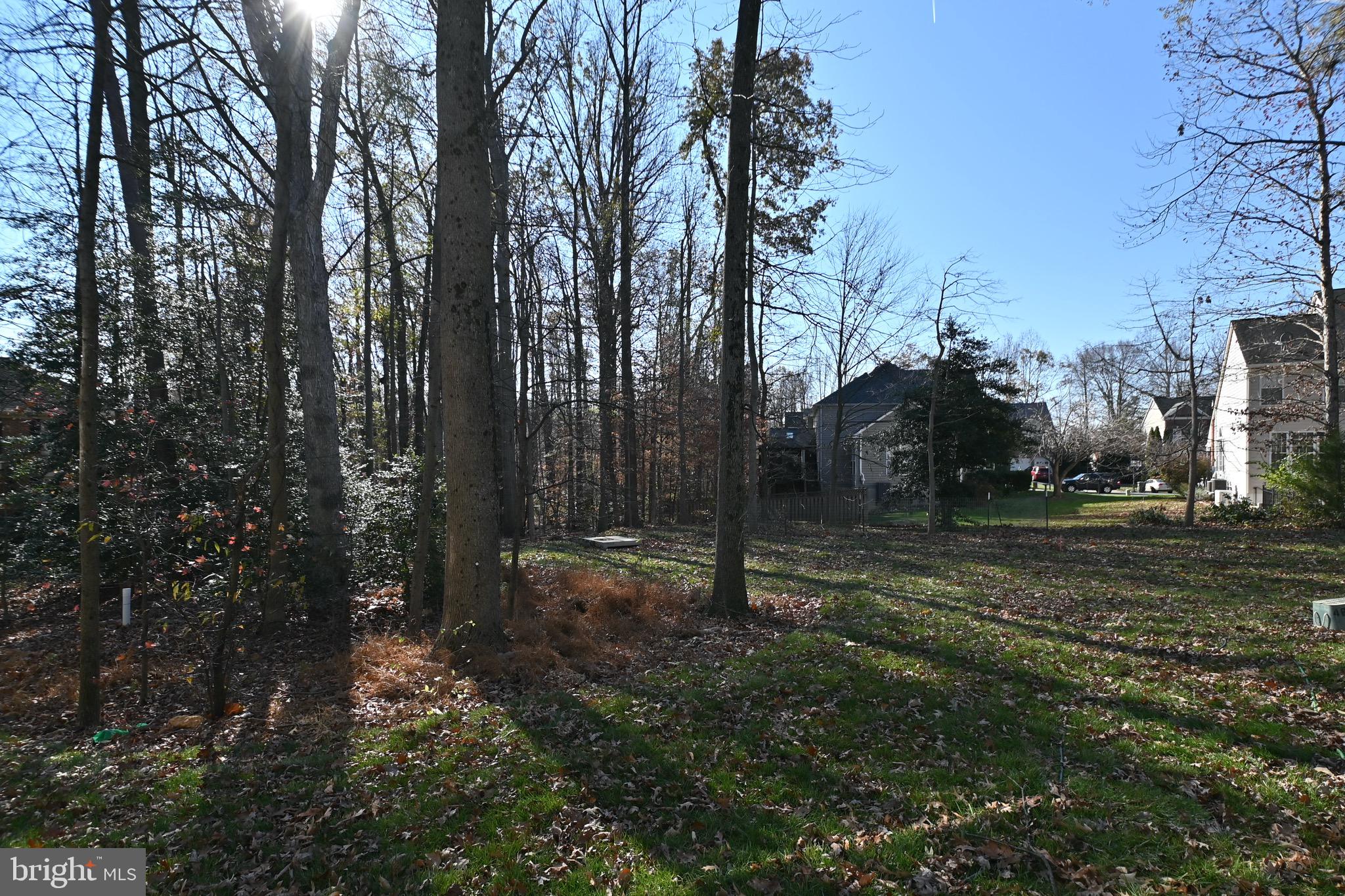 6216 Garden Road Springfield, VA 22152 - Photo 3 of 60