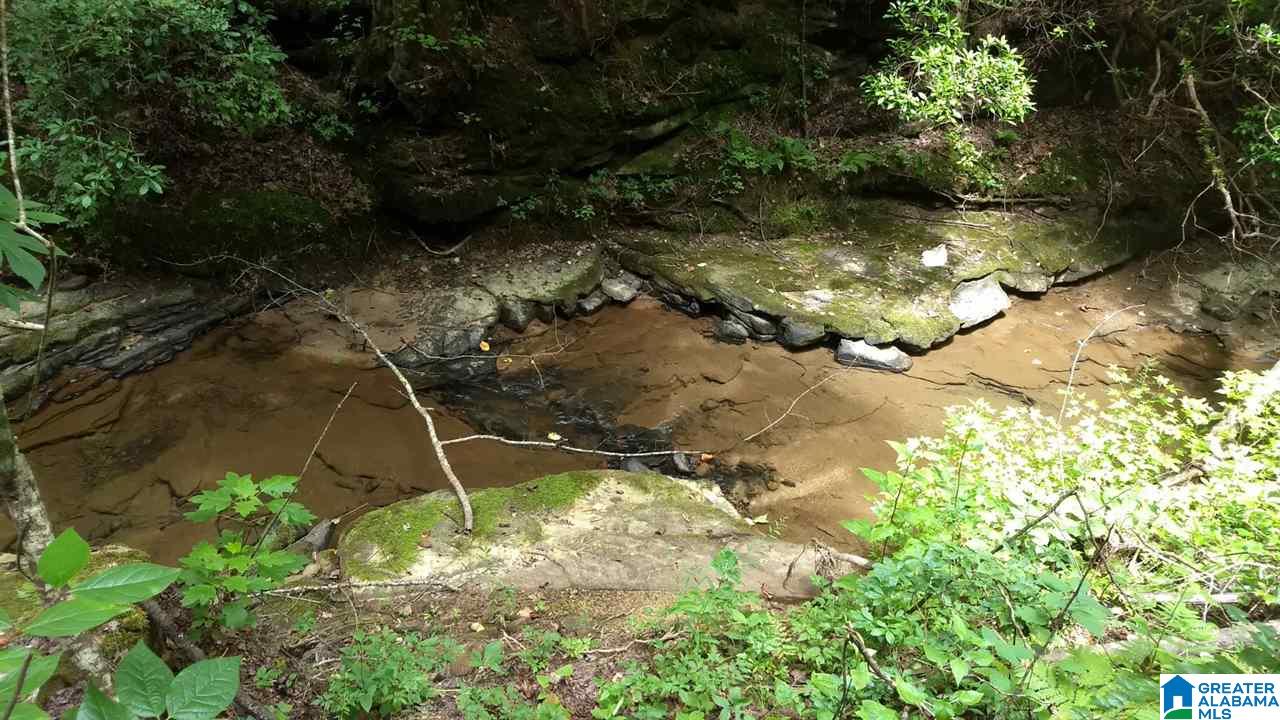 0 Highway 27 Springville Al Springville, AL 35146 - Photo 9 of 12
