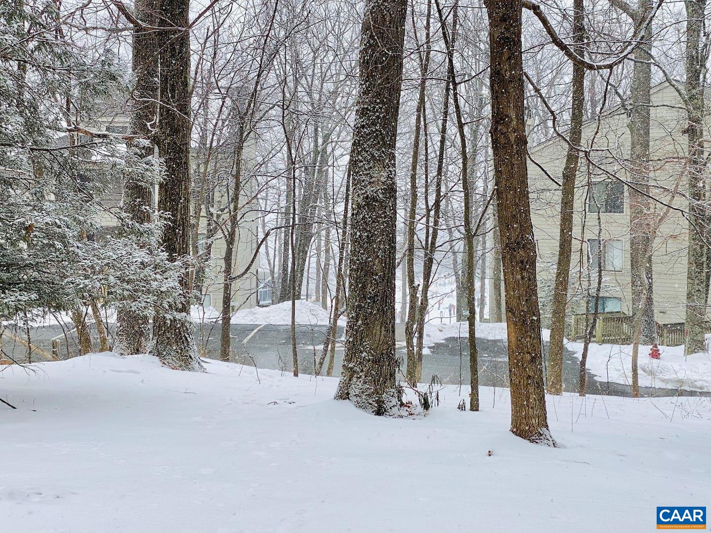 454 3 Ridges Wintergreen, VA 22967 - Photo 13 of 14 a view of road with trees