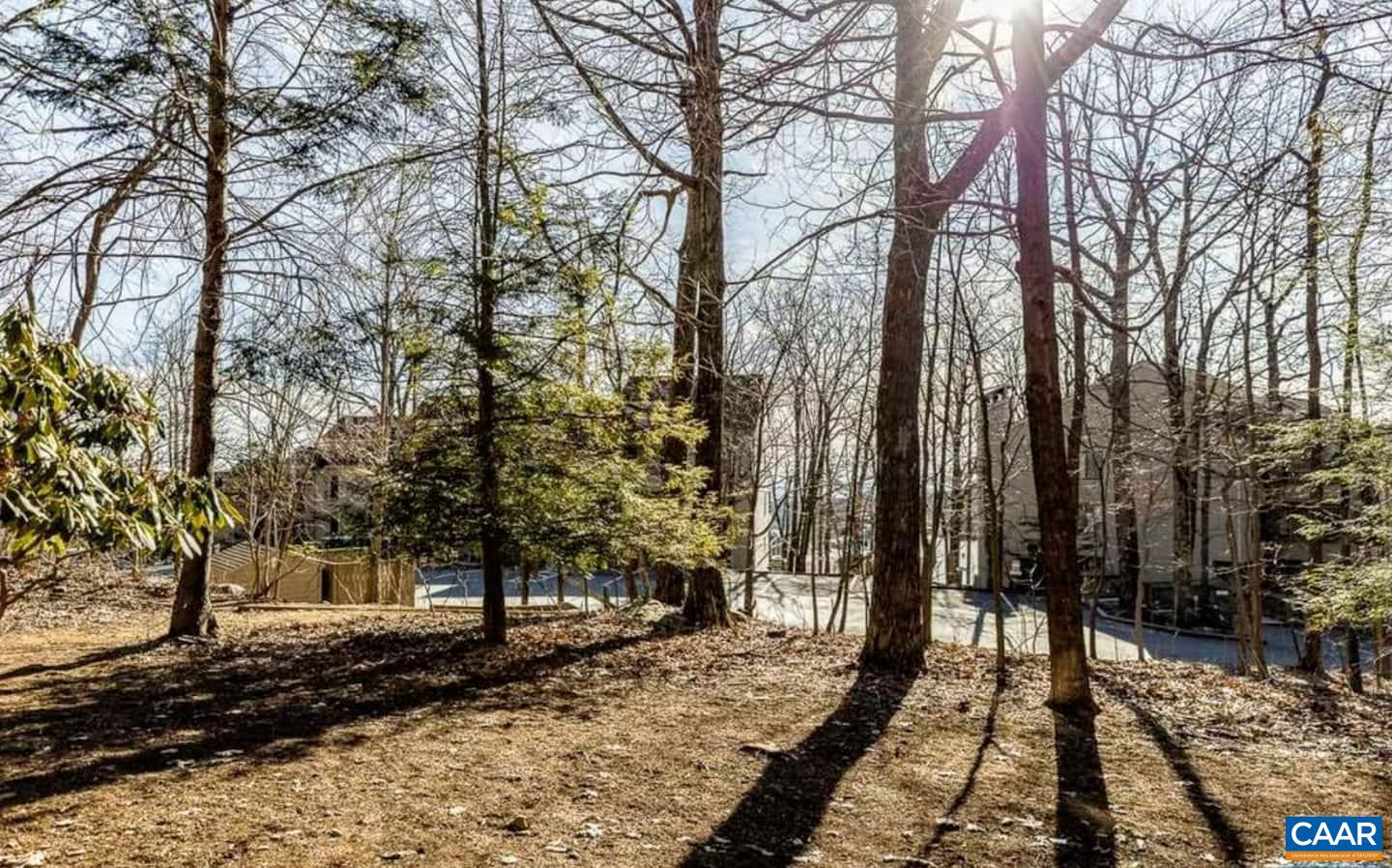 454 3 Ridges Wintergreen, VA 22967 - Photo 14 of 14 a view of a yard with trees