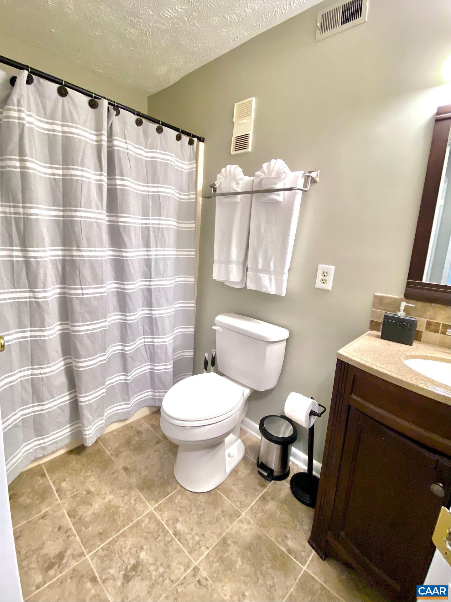 454 3 Ridges Wintergreen, VA 22967 - Photo 5 of 14 a bathroom with a toilet and a sink