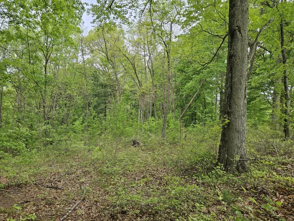 $35,000 | 77868 30th Avenue, Covert, MI 49043