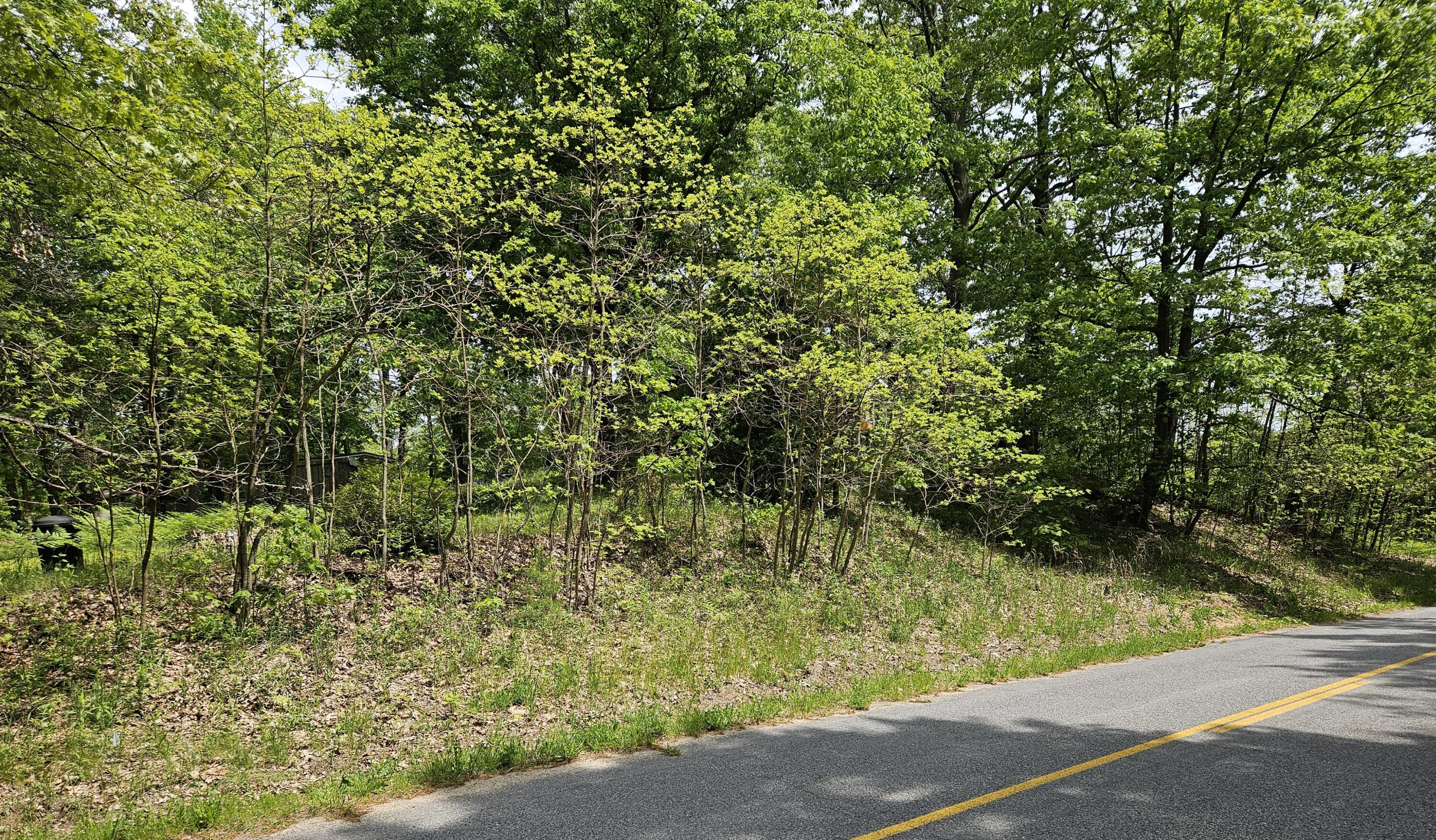 77868 30th Avenue Covert, MI 49043 - Photo 8 of 8 30th Ave (Ozse,A) - PIc #7