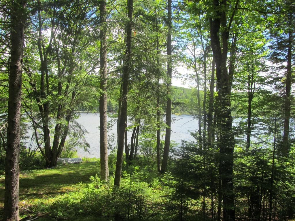523 River Road Pittsburg, NH 03592 - Photo 6 of 23 Gallery Image 6