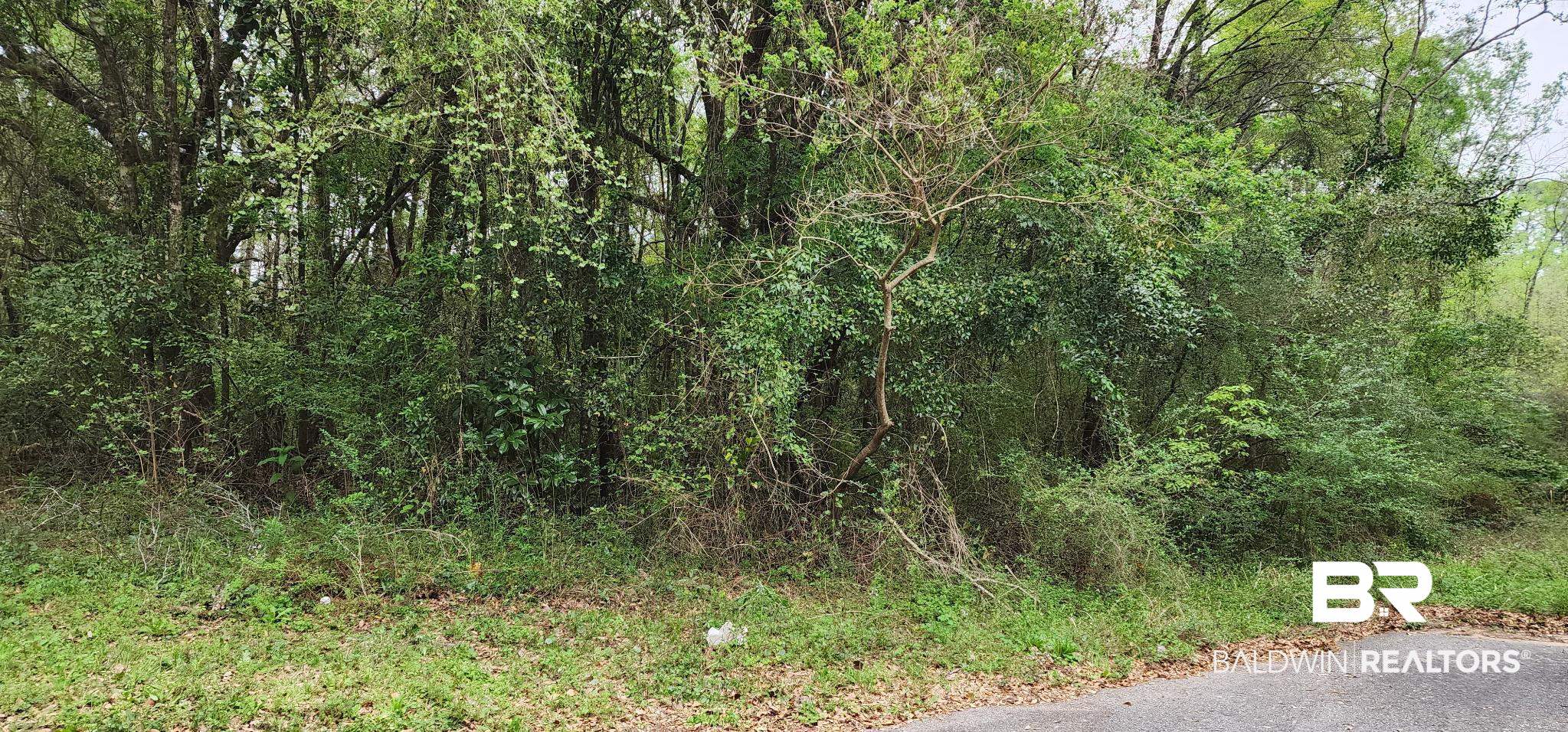 0 Mill House Drive North Mobile, AL 36619 - Photo 2 of 3 View of local wilderness with a view of trees