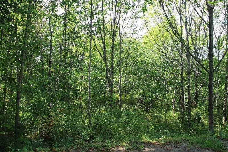 648 Old County Road Rockland, ME 04841 - Photo 1 of 1 Photo