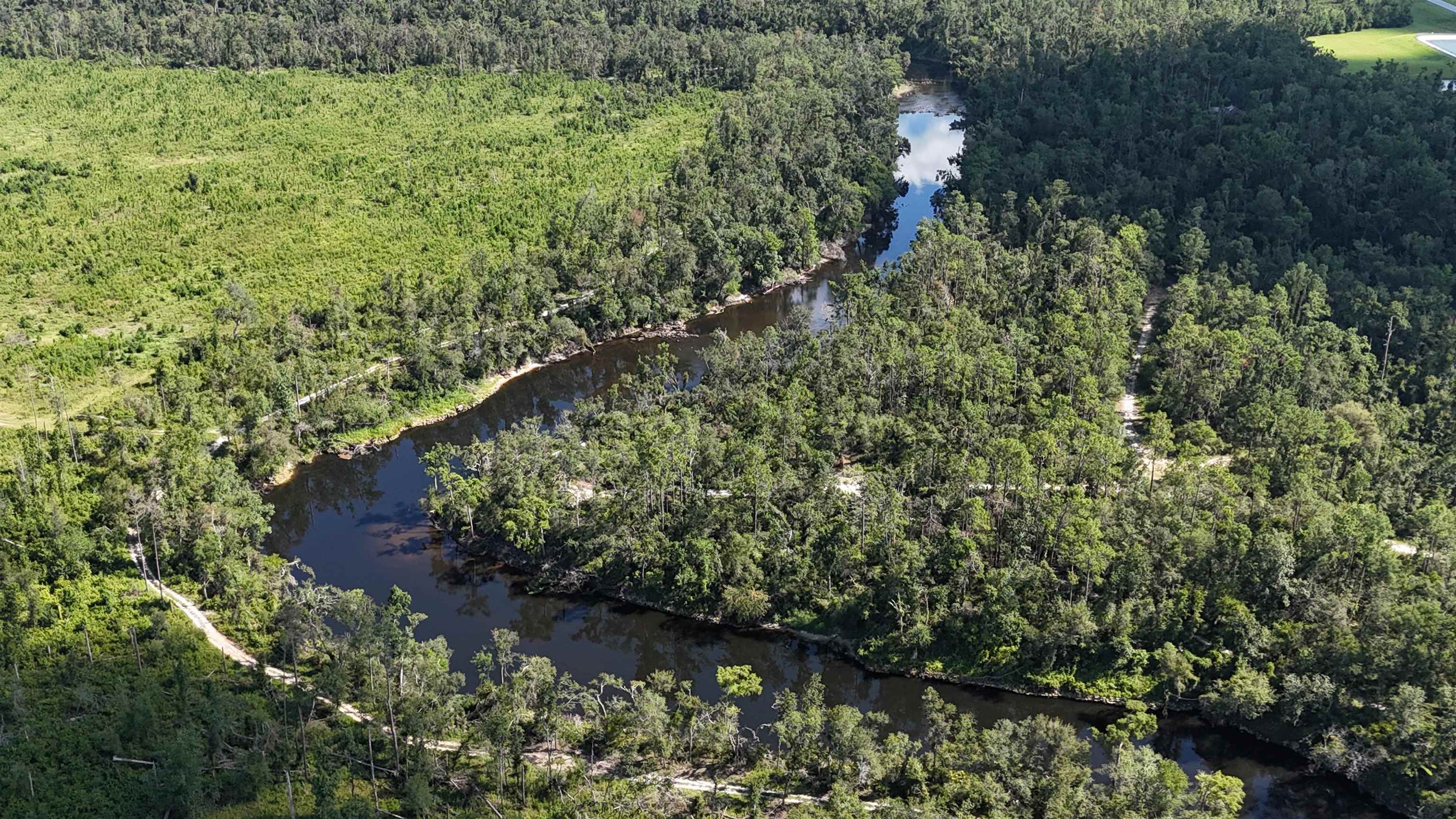 0 Northeast Blue Springs Church Road Lee, FL 32059 - Photo 16 of 17