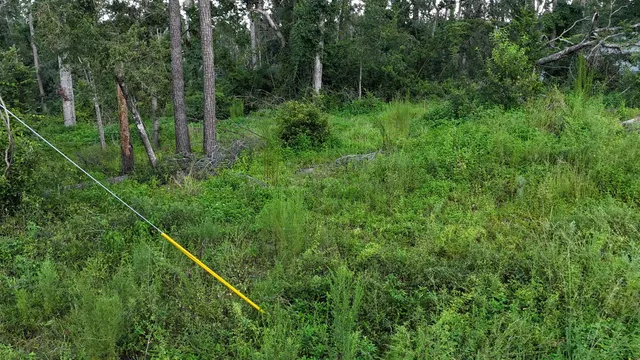 $17,000 | 0 Northeast Blue Springs Church Road, Lee, FL 32059