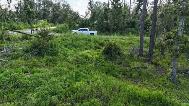 $17,000 | 0 Northeast Blue Springs Church Road, Lee, FL 32059