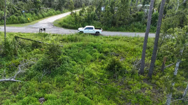 $17,000 | 0 Northeast Blue Springs Church Road, Lee, FL 32059