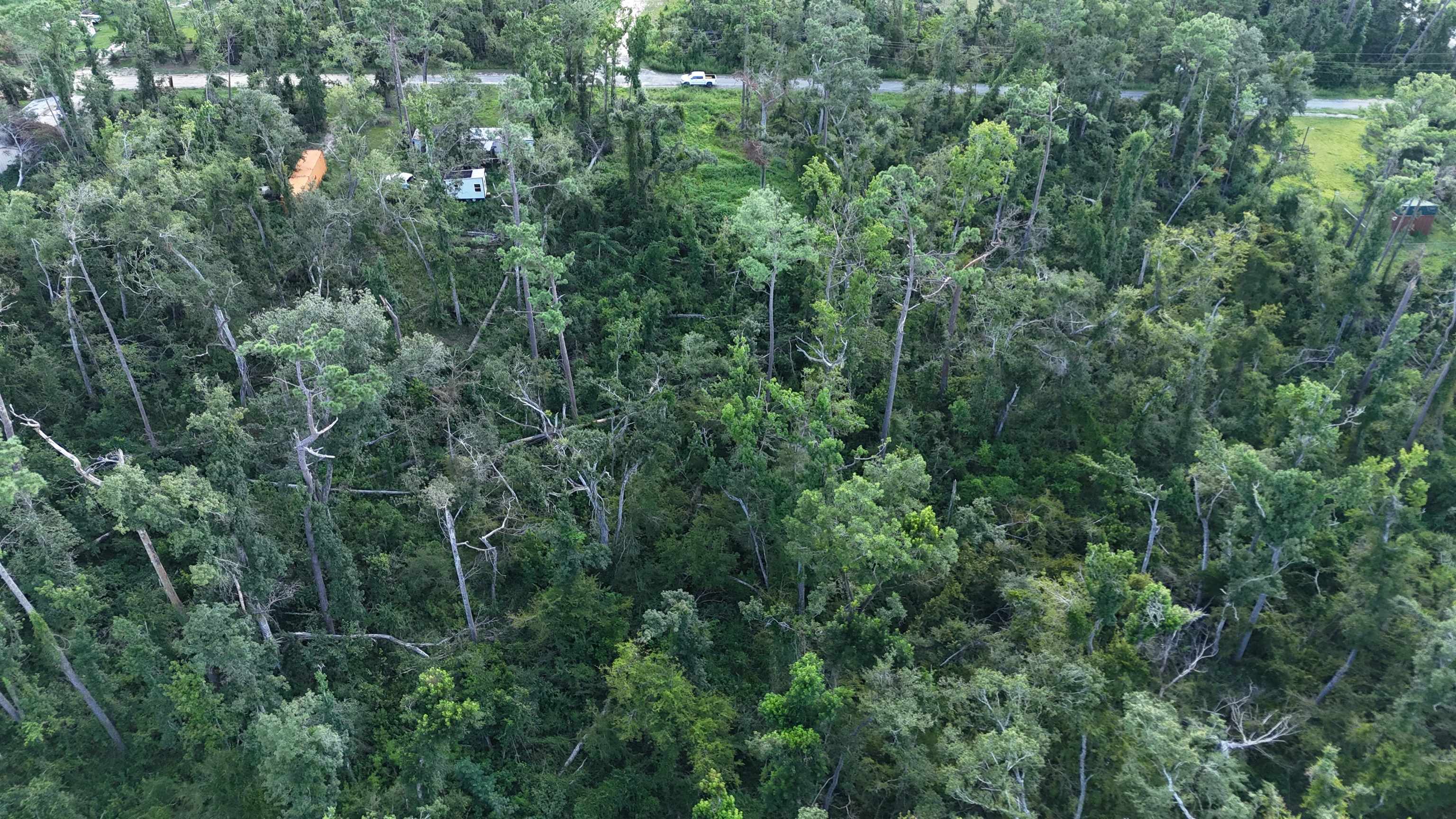 0 Northeast Blue Springs Church Road Lee, FL 32059 - Photo 5 of 17