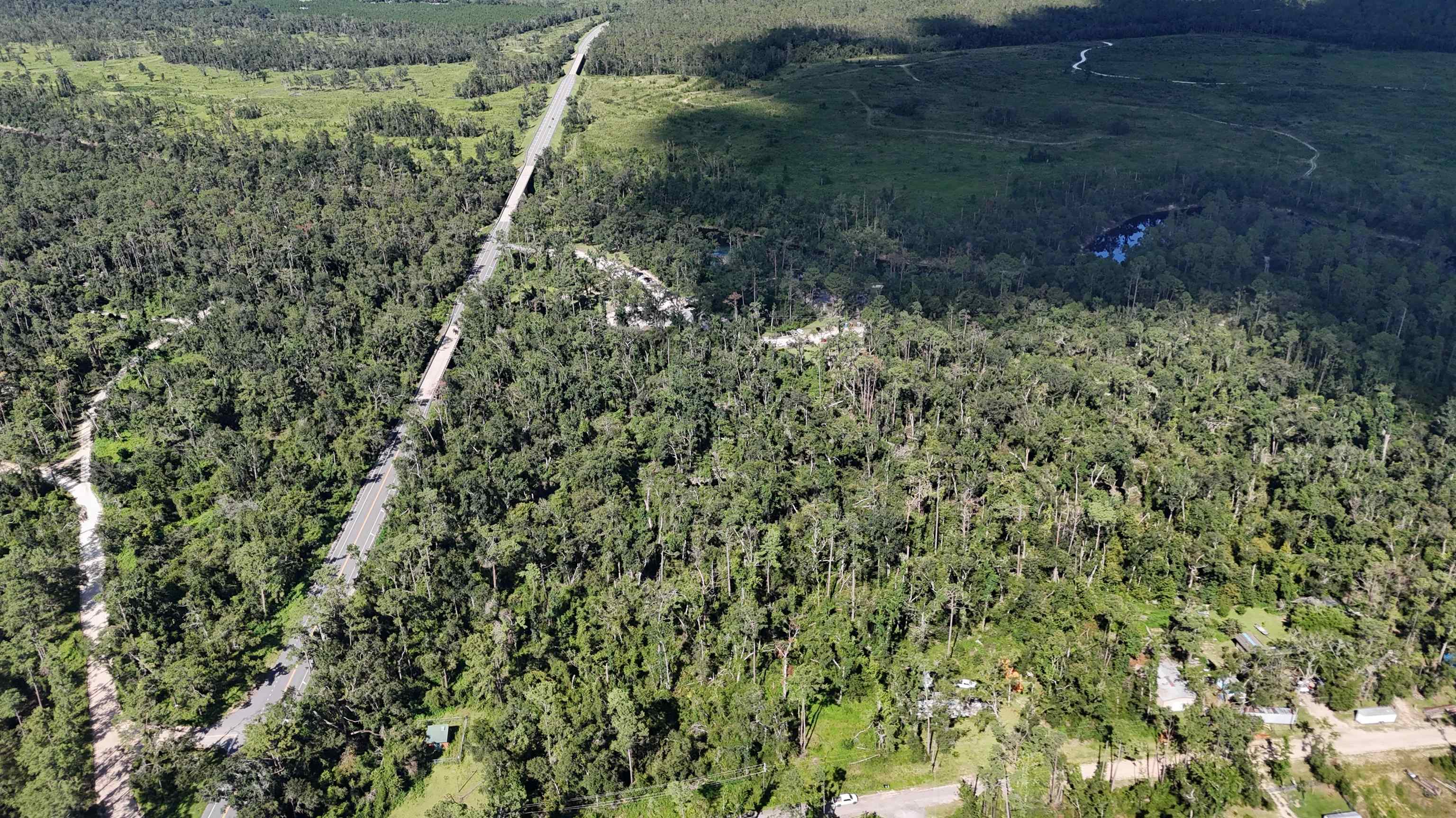 0 Northeast Blue Springs Church Road Lee, FL 32059 - Photo 7 of 17