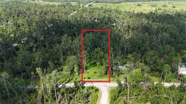 $17,000 | 0 Northeast Blue Springs Church Road, Lee, FL 32059
